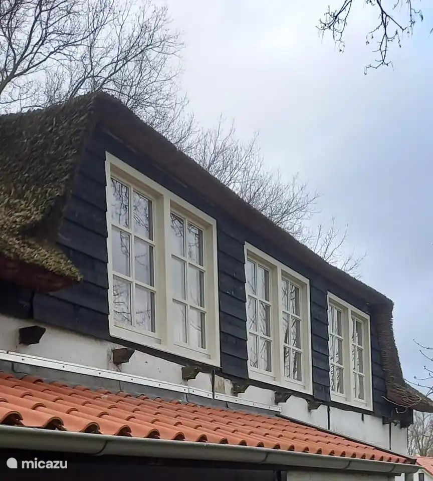 Unterkunft 633118 - Ferienhaus Zeeuws-Vlaanderen - Malpertuus