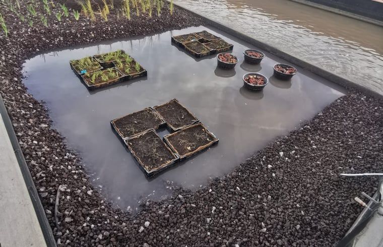 Unterkunft 634106 - Ferienhaus Zeeuws-Vlaanderen - Huisje in Waterlandkerkje