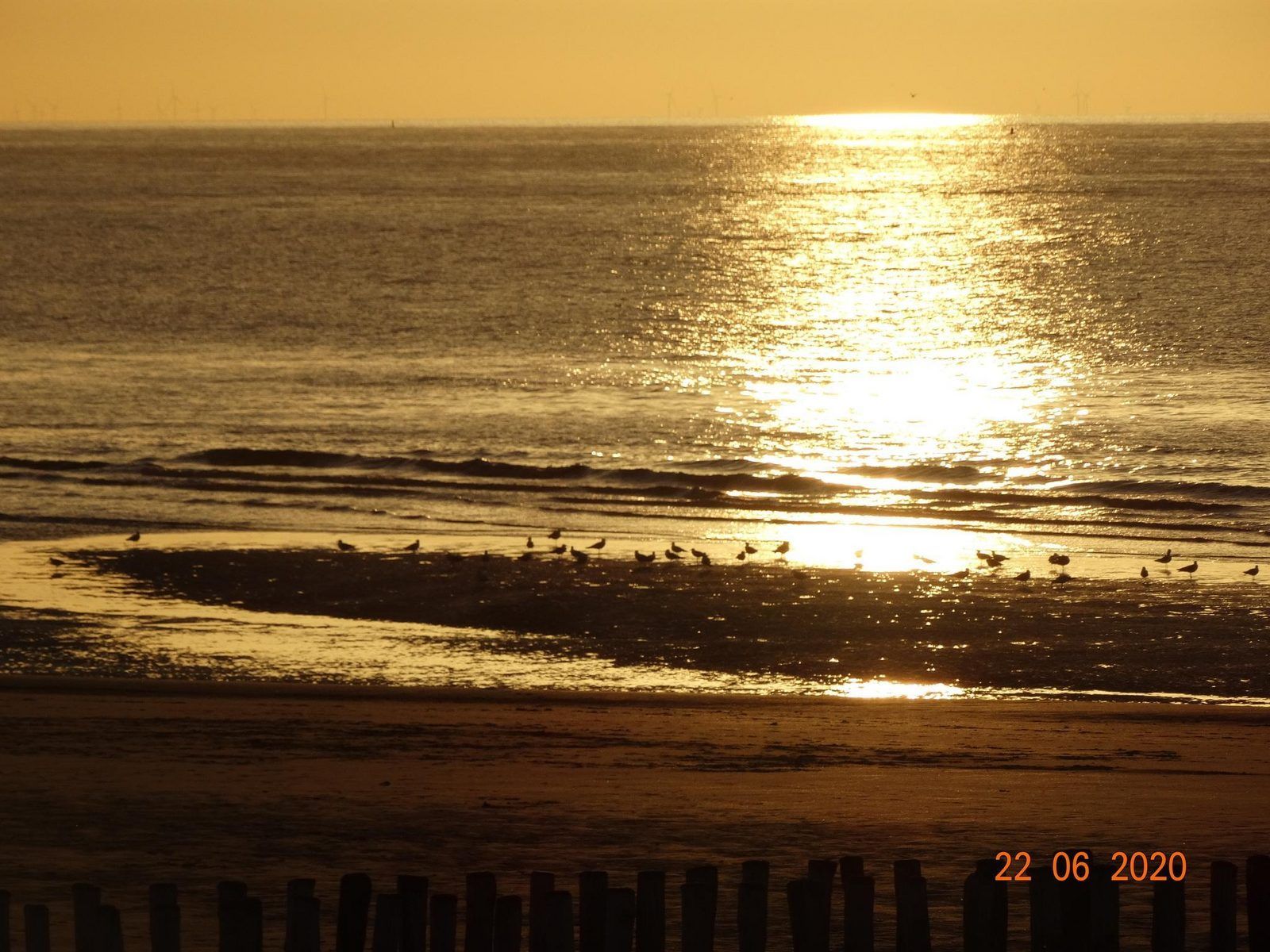 Unterkunft 634806 - Ferienhaus Zeeuws-Vlaanderen - VZ885 Vakantiehuis in Biervliet