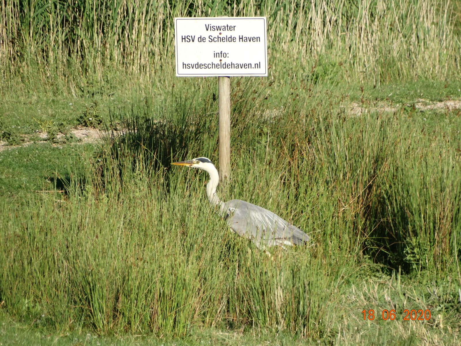 Modern kitchen in vacation home ZE1542, Biervliet, Zeeuws-Vlaanderen.