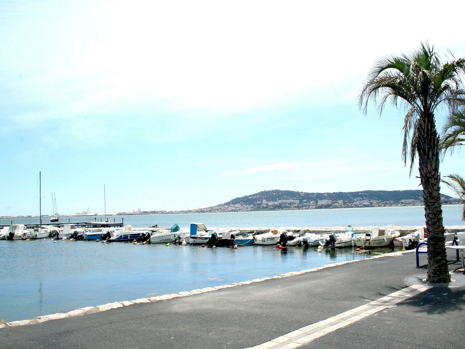 Guest house 6406198 - Holiday property Zuid-Beveland - Villapark De Oesterbaai 21