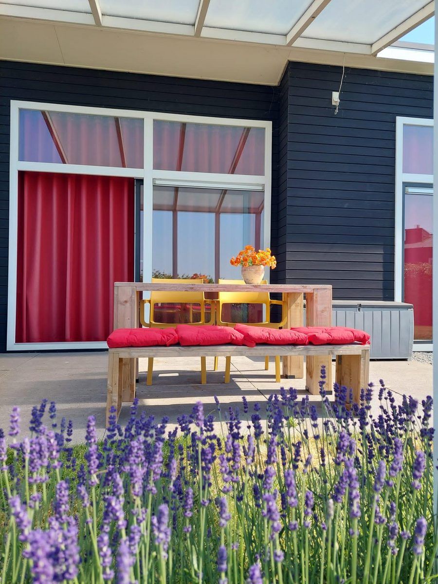 Terrasse mit Lavendel im Ferienhaus Waterresort Oosterschelde Haus Nr. 51 in Wemeldinge, ideal zum Entspannen in der Natur.
