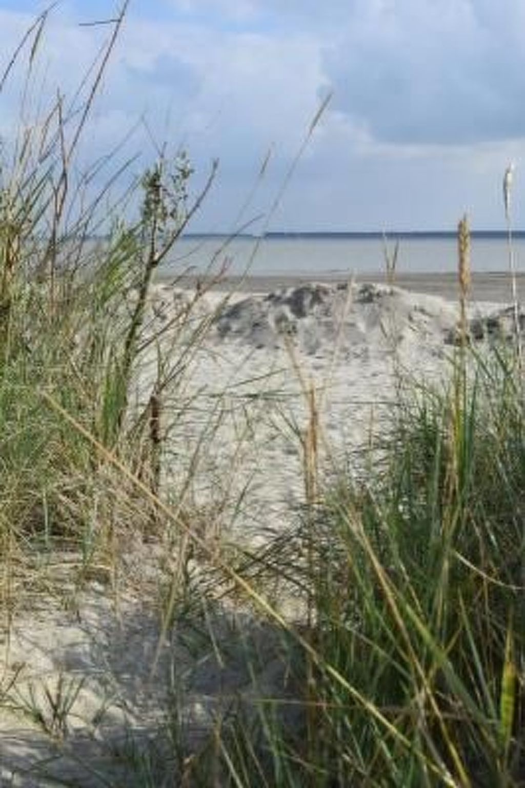 Verblijf 640822 - Vakantiewoning Zuid-Beveland - Vakantiehuis Kleines Haus mit Garten, direkt hinter dem Deic