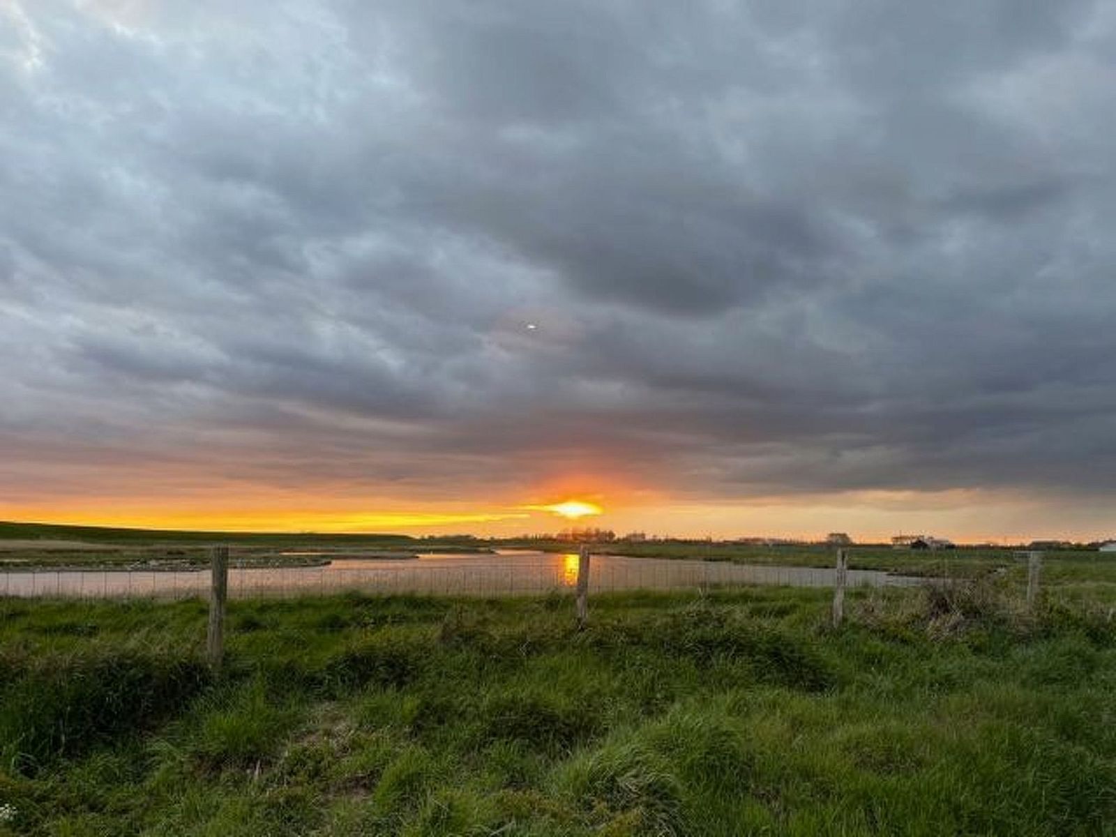 Guest house 640823 - Holiday property Zuid-Beveland - Vakantiehuis Sunshine