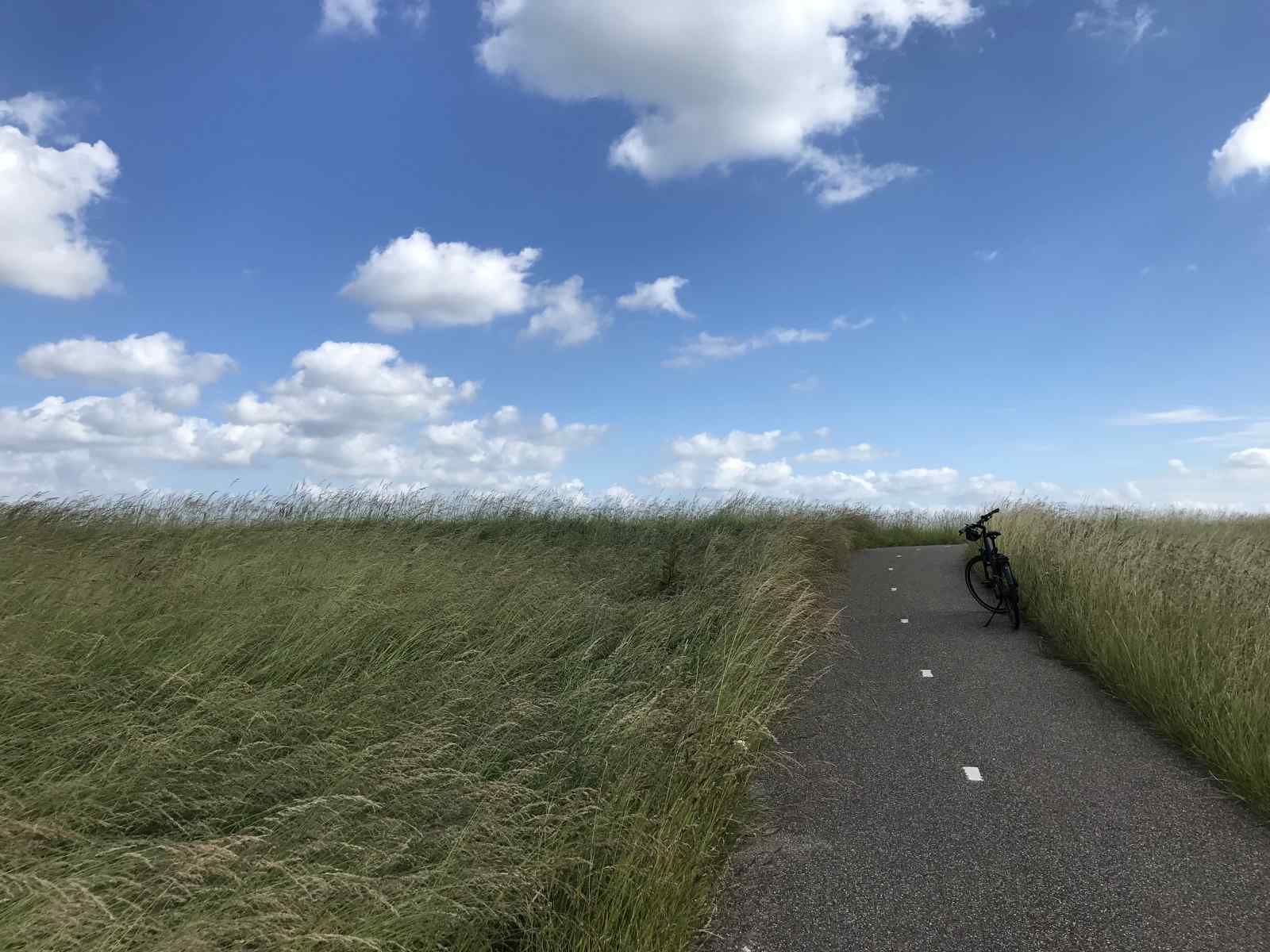 Fietspad door de natuur nabij vakantiehuis ZE1365 in Kattendijke, Zuid-Beveland, ideaal voor fietstochten.