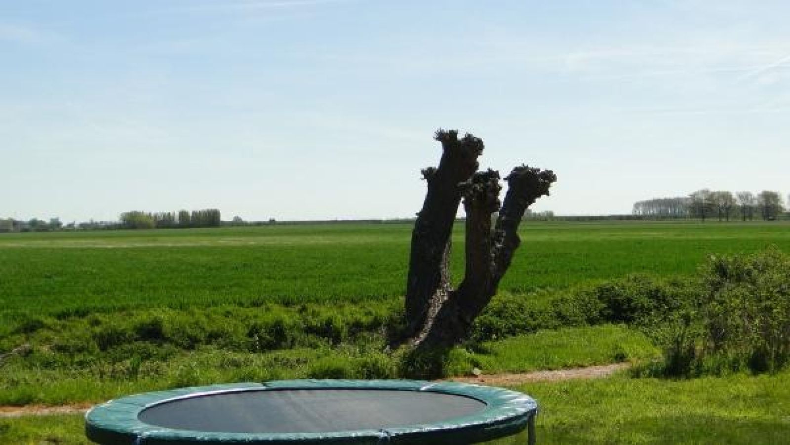 Naturfotos an der Wand im Ferienhaus ZE524 in Kattendijke, Sued-Beveland, sorgen fuer eine rustikale Atmosphaere.