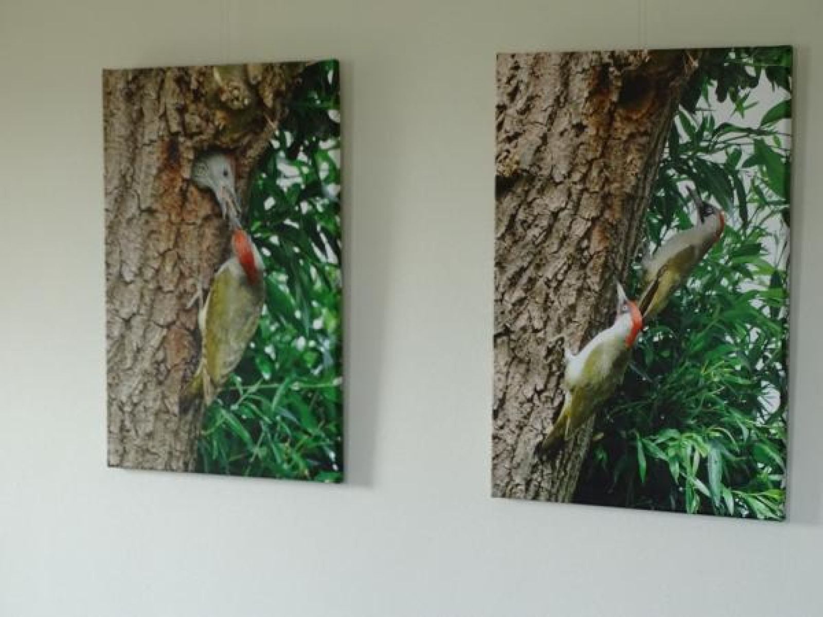 Gruener Garten am Ferienhaus ZE524 in Kattendijke, Zuid-Beveland mit weitem Blick.