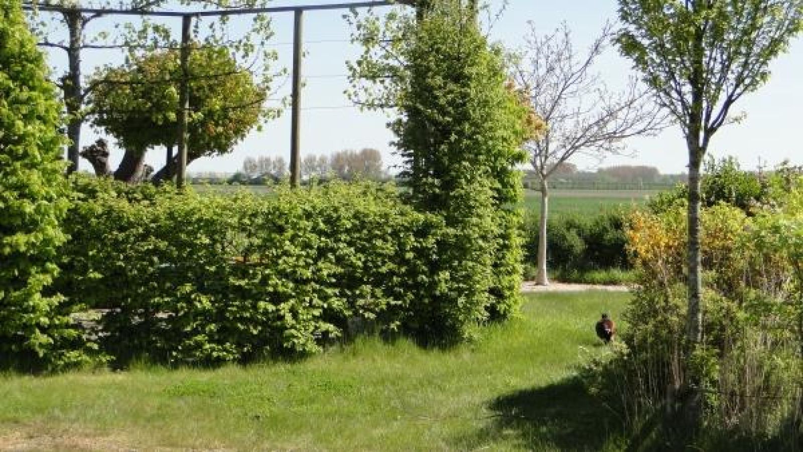 Foto 7