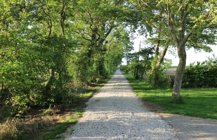 Unterkunft 642013 - Ferienhaus Zuid-Beveland - Vakantiehuis in Wolphaartsdijk