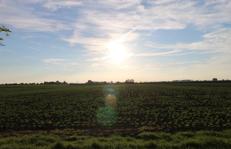 Unterkunft 642013 - Ferienhaus Zuid-Beveland - Vakantiehuis in Wolphaartsdijk