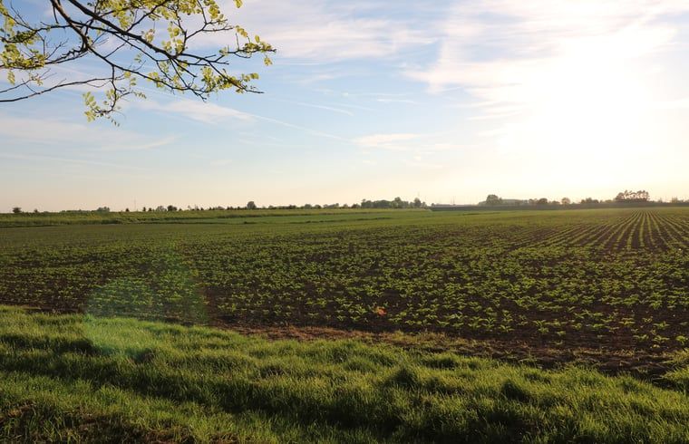 Unterkunft 642013 - Ferienhaus Zuid-Beveland - Vakantiehuis in Wolphaartsdijk