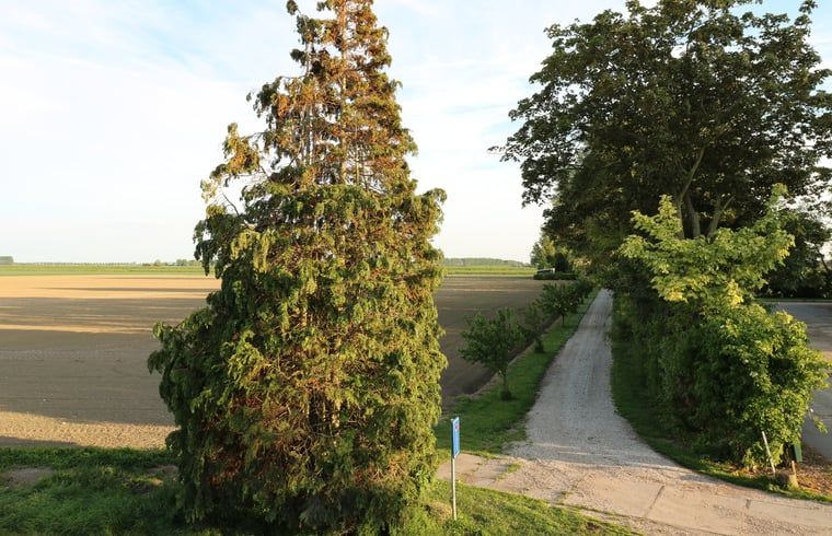 Unterkunft 642013 - Ferienhaus Zuid-Beveland - Vakantiehuis in Wolphaartsdijk
