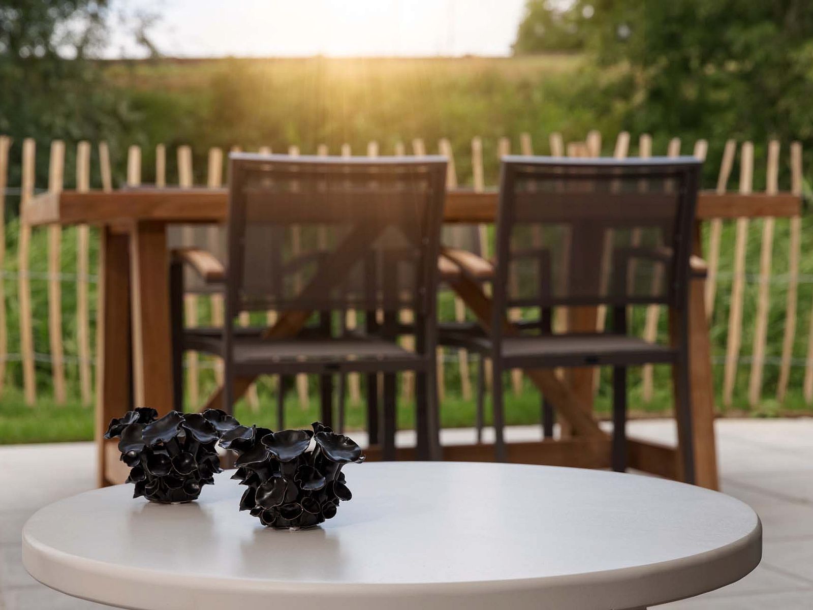 Verblijf 642014 - Vakantiewoning Zuid-Beveland - Vrijstaande woning in Wolphaartsdijk