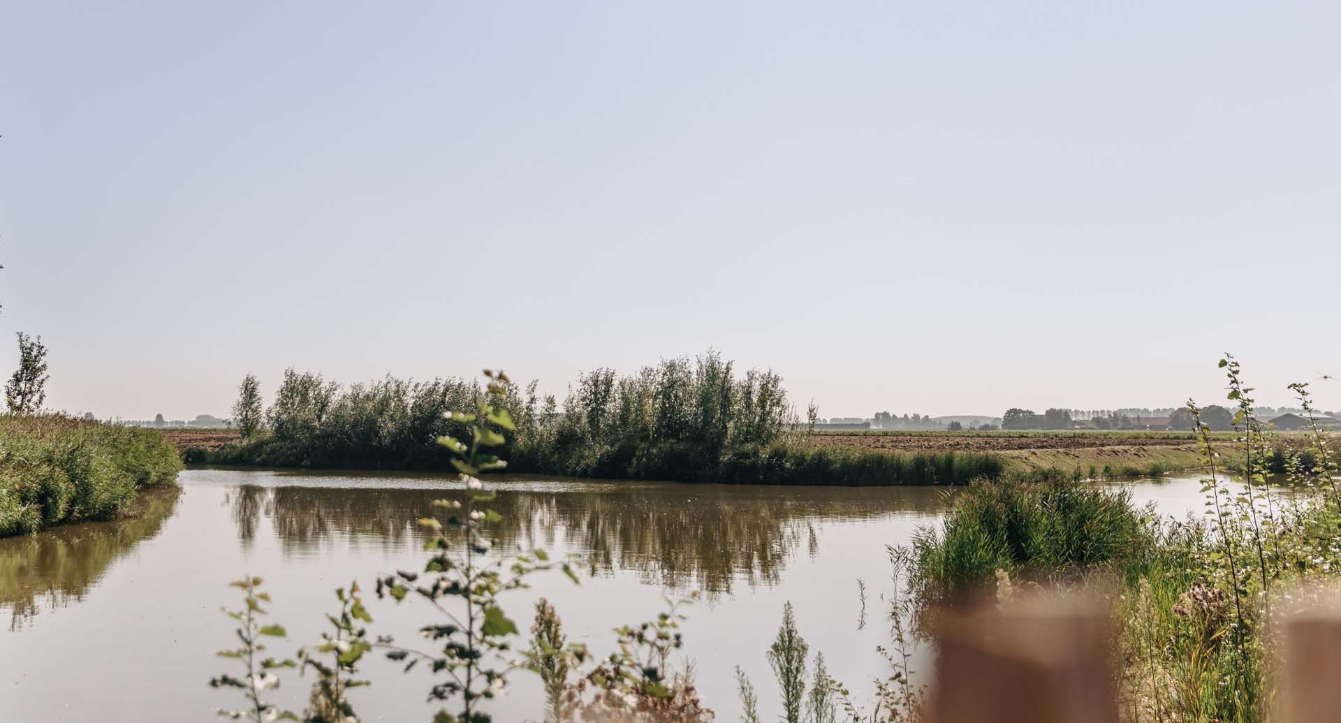 Unterkunft 642039 - Ferienhaus Zuid-Beveland - Vrijstaande woning in Wolphaartsdijk
