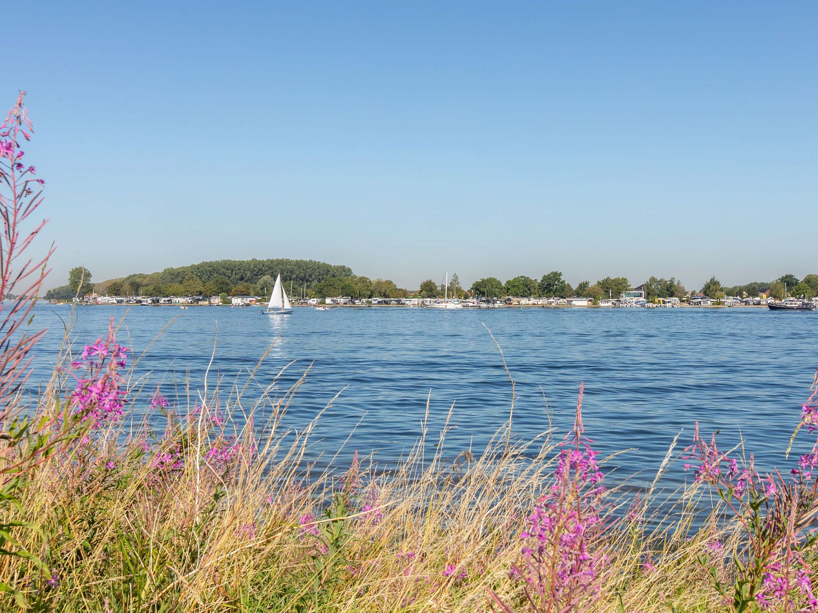 Verblijf 642041 - Vakantiewoning Zuid-Beveland - Vakantiehuis NatuurOase