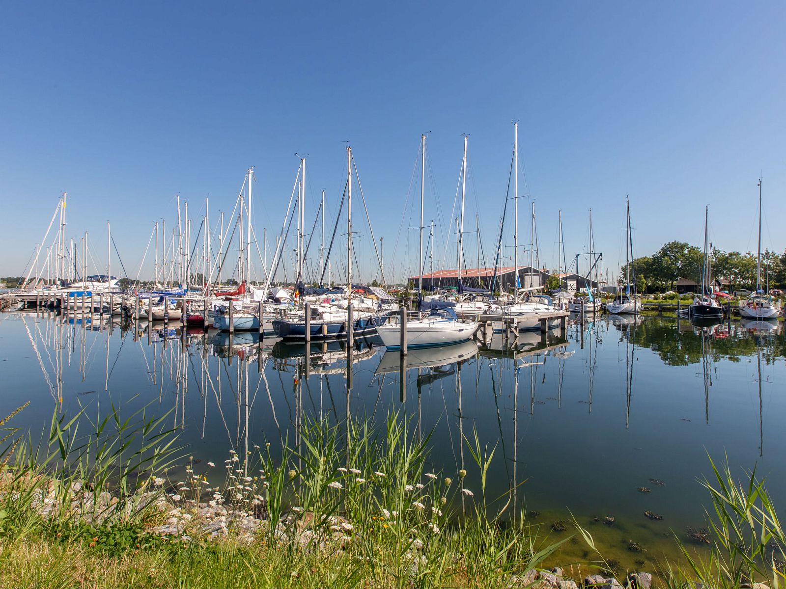 Verblijf 642041 - Vakantiewoning Zuid-Beveland - Vakantiehuis NatuurOase