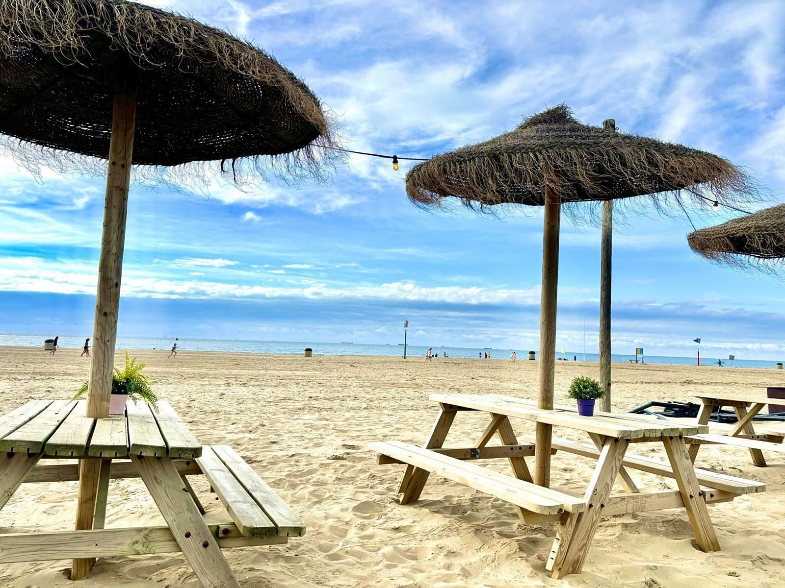 Verblijf 642041 - Vakantiewoning Zuid-Beveland - Vakantiehuis NatuurOase