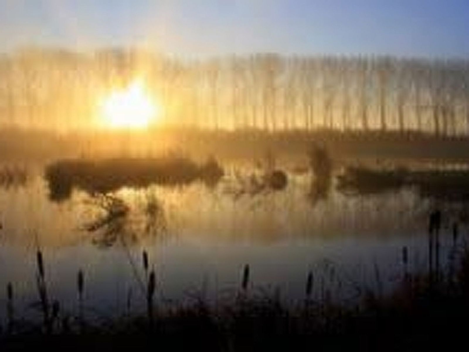 Unterkunft 642502 - Appartement Zuid-Beveland - Appartement Wohnung met terras