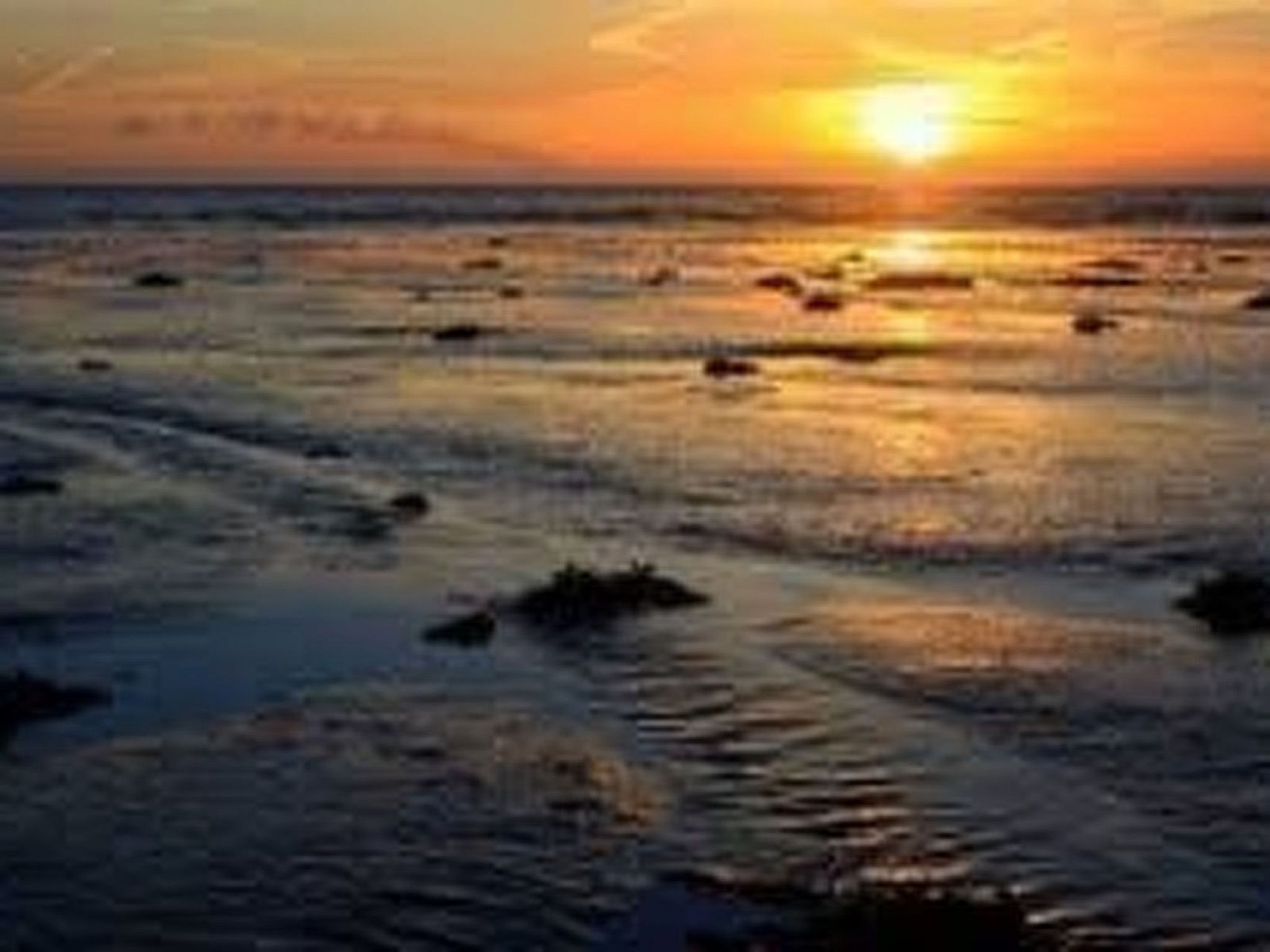 Unterkunft 642502 - Appartement Zuid-Beveland - Appartement Wohnung met terras