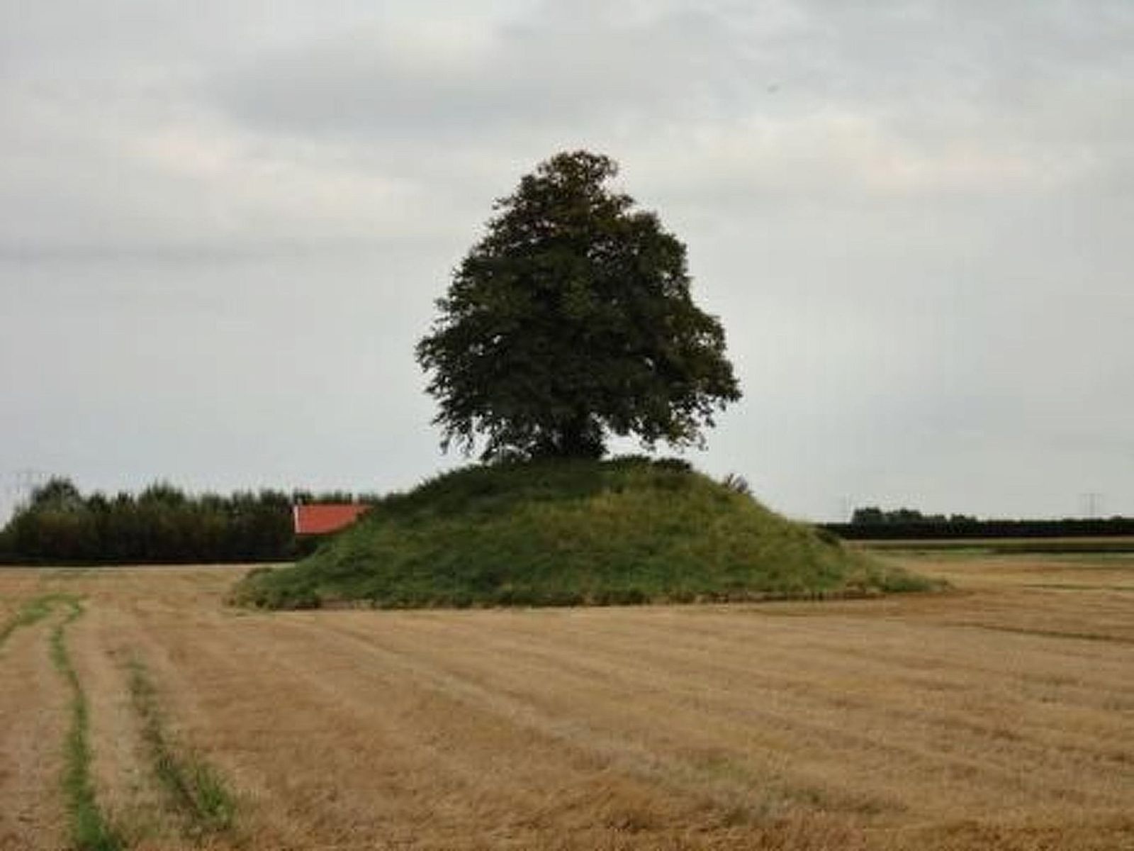 Unterkunft 642502 - Appartement Zuid-Beveland - Appartement Wohnung met terras