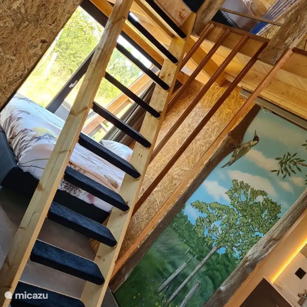 Verblijf 642503 - Vakantiewoning Zuid-Beveland - Vakantiehuisje de Groene Specht