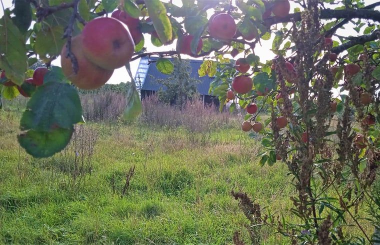 Guest house 642709 - Holiday property Zuid-Beveland - Vakantiehuis in Kwadendamme