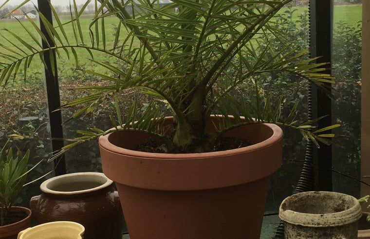 Unterkunft 642902 - Ferienhaus Zuid-Beveland - Huisje in Lewedorp