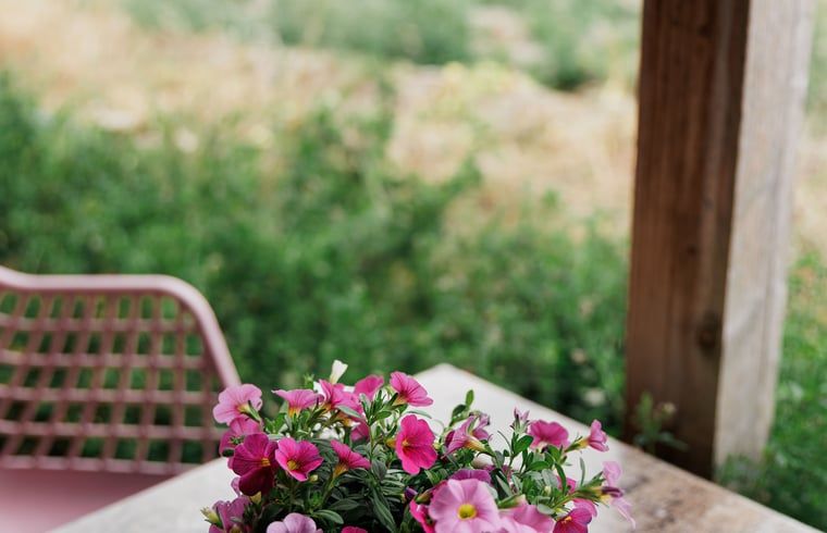 Unterkunft 642904 - Ferienhaus Zuid-Beveland - Vakantiehuisje in Lewedorp