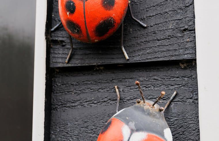 Unterkunft 642904 - Ferienhaus Zuid-Beveland - Vakantiehuisje in Lewedorp