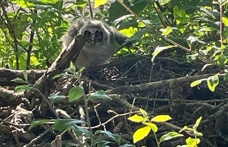 Verblijf 642908 - Vakantiewoning Zuid-Beveland - Vakantiehuisje in Lewedorp