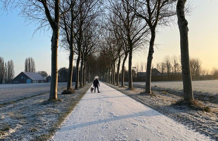 Verblijf 642908 - Vakantiewoning Zuid-Beveland - Vakantiehuisje in Lewedorp