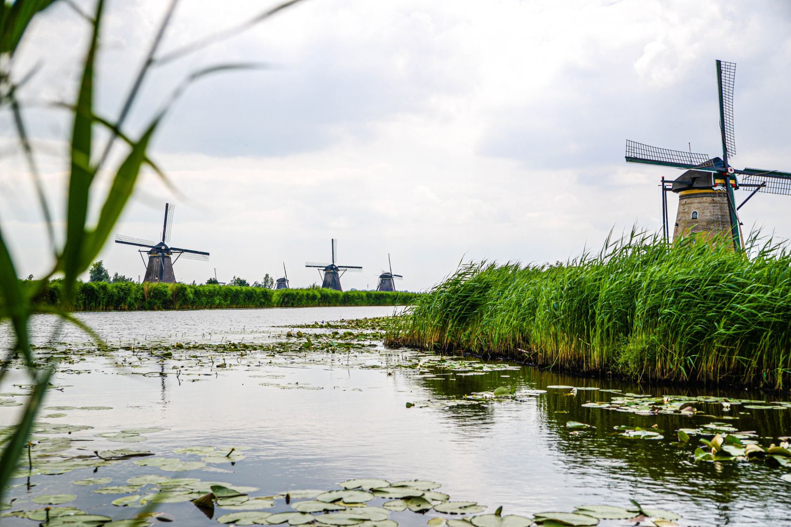 Interieur des Ferienhauses ZH487 in Goudriaan, Alblasserwaard, Suedholland mit Holzbalken und gruenen Waenden.