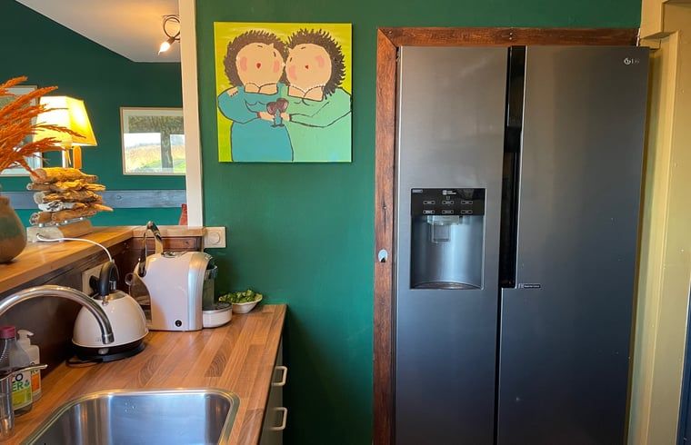 Moderne Kueche im Cottage in Brandwijk, Brandwijk, mit grossem Kuehlschrank und farbenfroher Dekoration.