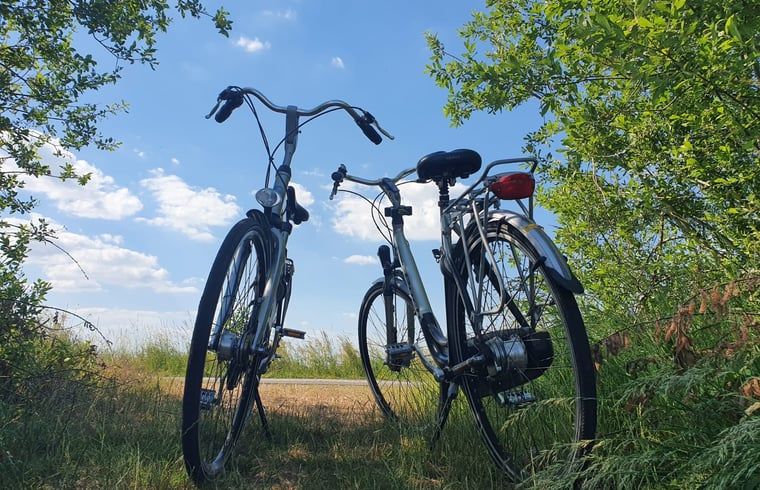 Radfahren in der Natur rund um das Cottage in Brandwijk, Alblasserwaard, ideal fuer Entdeckungen.