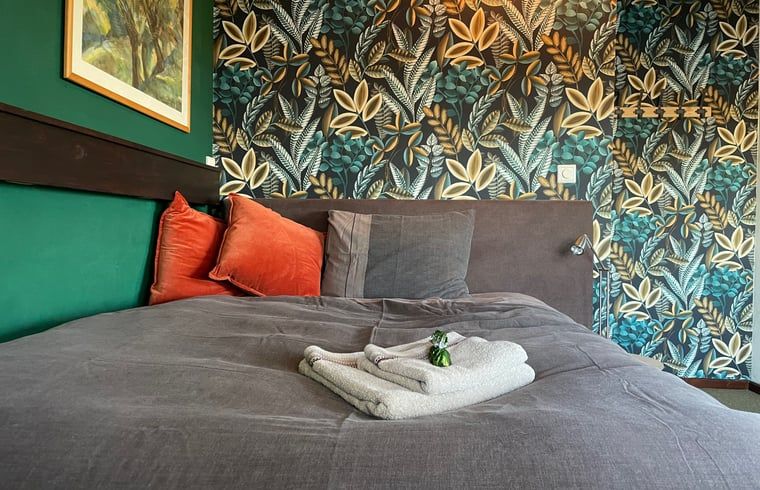 Gemuetliches Schlafzimmer im Cottage in Brandwijk, Brandwijk mit bunten Tapeten und weichen Kissen.