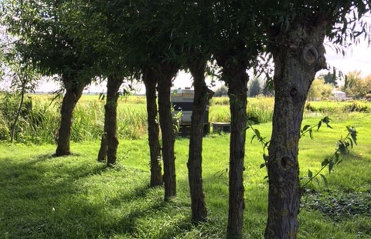 Boomgaard bij Huisje in Stolwijk, vakantiehuis in Alblasserwaard met groene omgeving.