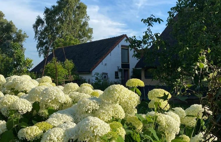 Green surroundings with trees near Cottage in Stolwijk, vacation accommodation in Alblasserwaard, South Holland.