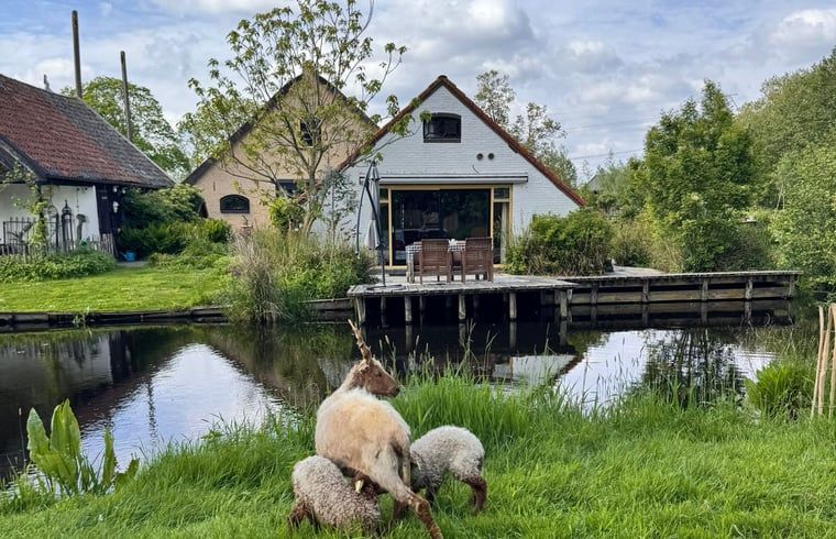 Sunrise over the landscape at Cottage in Stolwijk, vacation home in Alblasserwaard, South Holland.