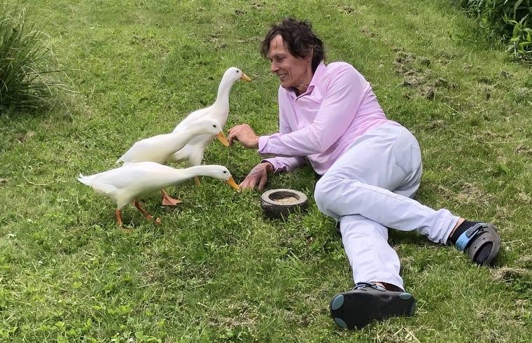 Guest house 651607 - Holiday property Alblasserwaard - Huisje in Stolwijk