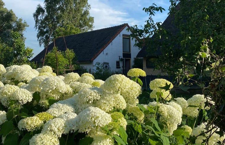 Verblijf 651608 - Vakantiewoning Alblasserwaard - Vakantiehuis in Stolwijk