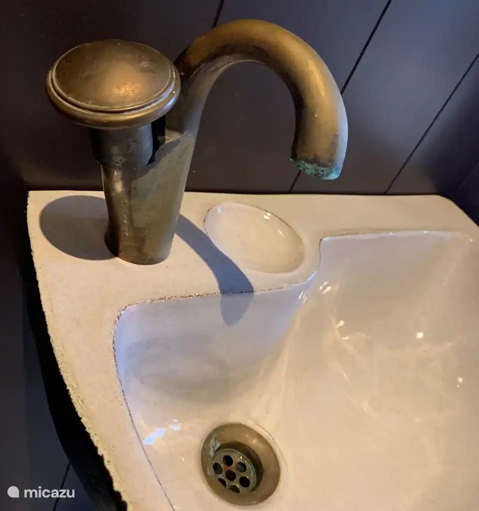 Verblijf 651703 - Vakantiewoning Alblasserwaard - Rustig huis in prachtig landschap