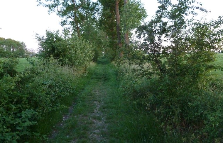 Bild 22