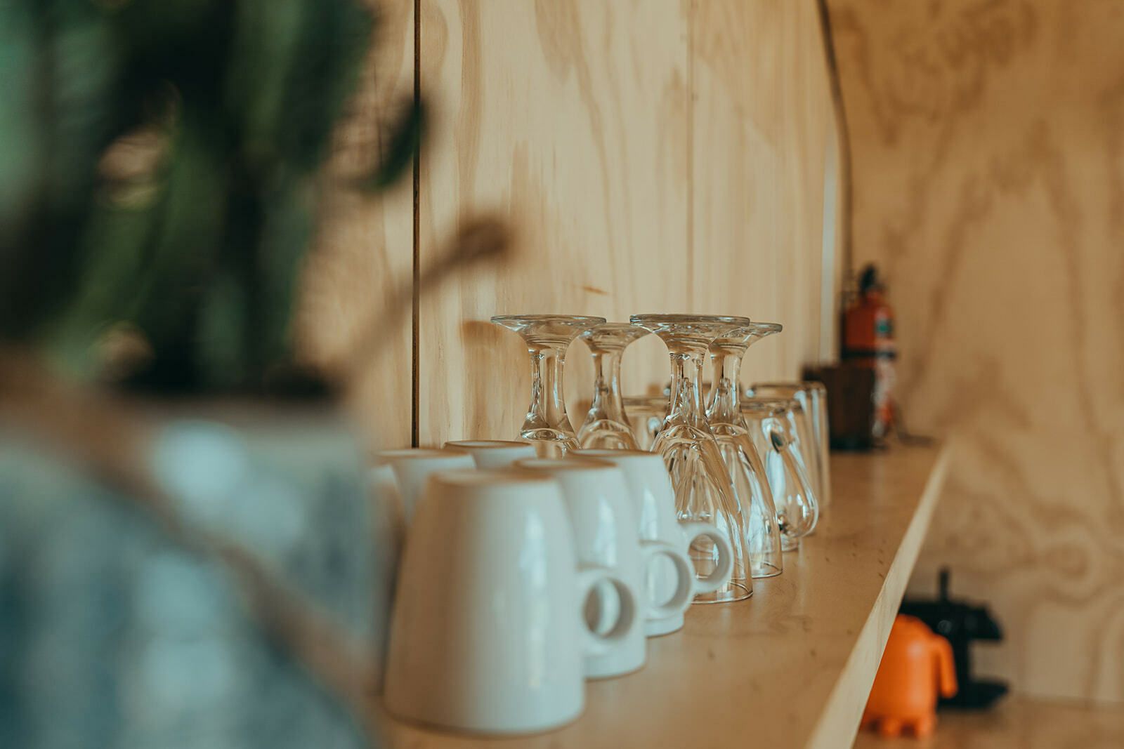 Guest house 6601108 - Holiday property Goeree-Overflakkee - Oep