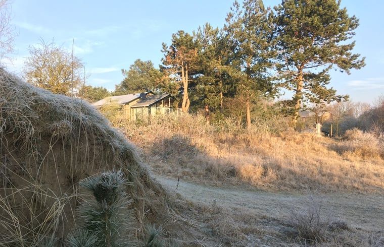 Winterlandschap rondom Vakantiehuis in Ouddorp, Goeree-Overflakkee, Zuid-Holland.