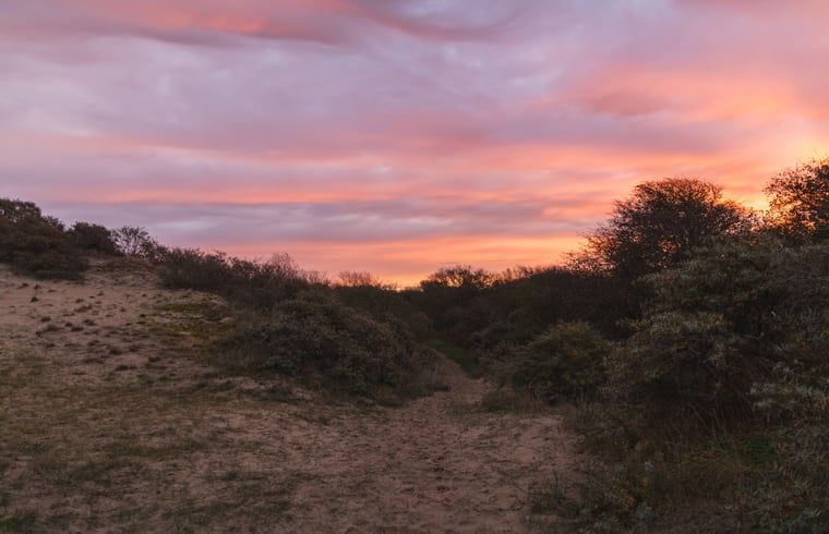 Unterkunft 6601160 - Ferienhaus Goeree-Overflakkee - Vakantiehuis in Ouddorp