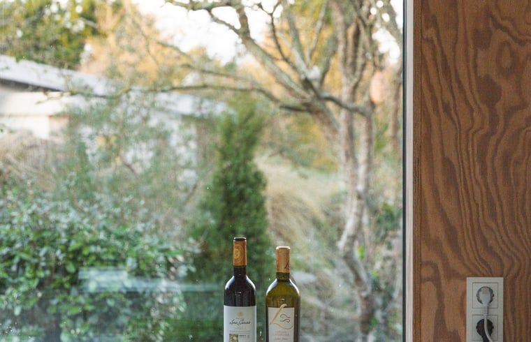 Unterkunft 6601160 - Ferienhaus Goeree-Overflakkee - Vakantiehuis in Ouddorp