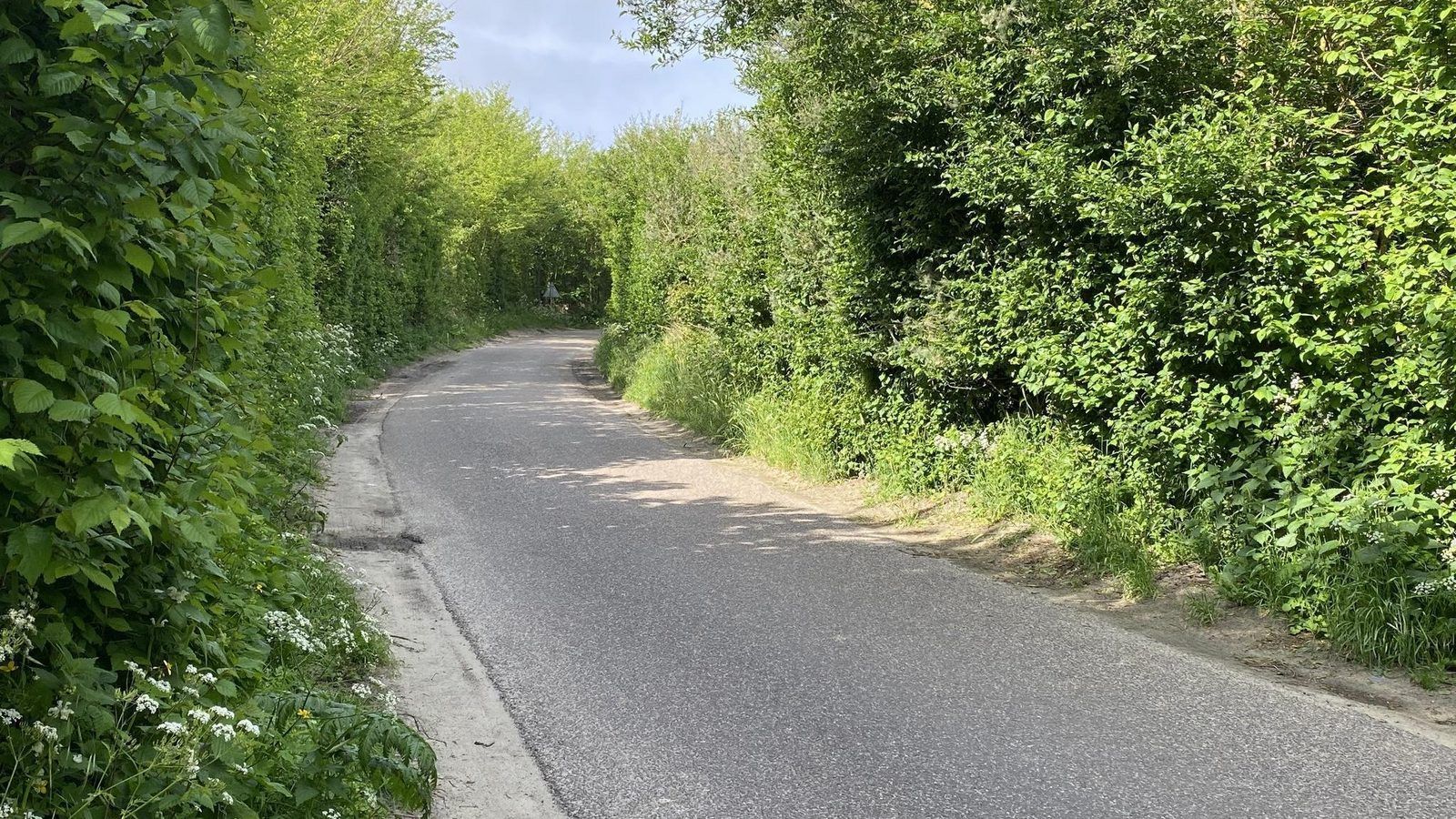 Landelijke weg nabij VZ990 Vakantiewoning in Ouddorp, omgeven door natuur in Goeree-Overflakkee.