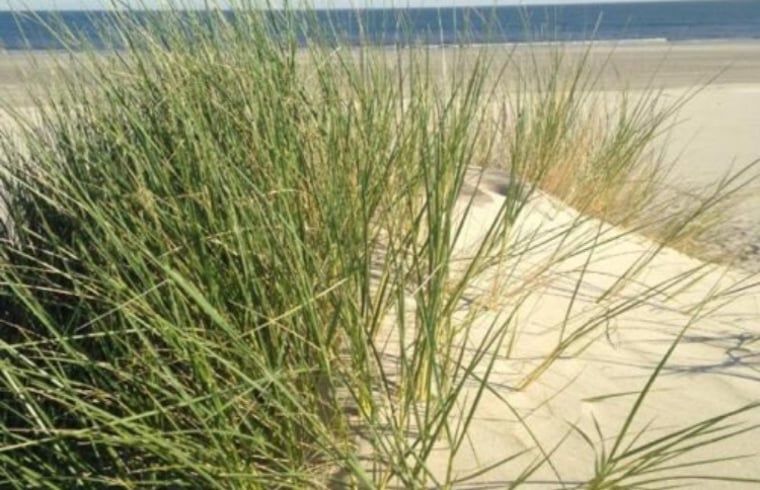 Verblijf 6601205 - Vakantiewoning Goeree-Overflakkee - Vakantiehuisje in Ouddorp aan zee