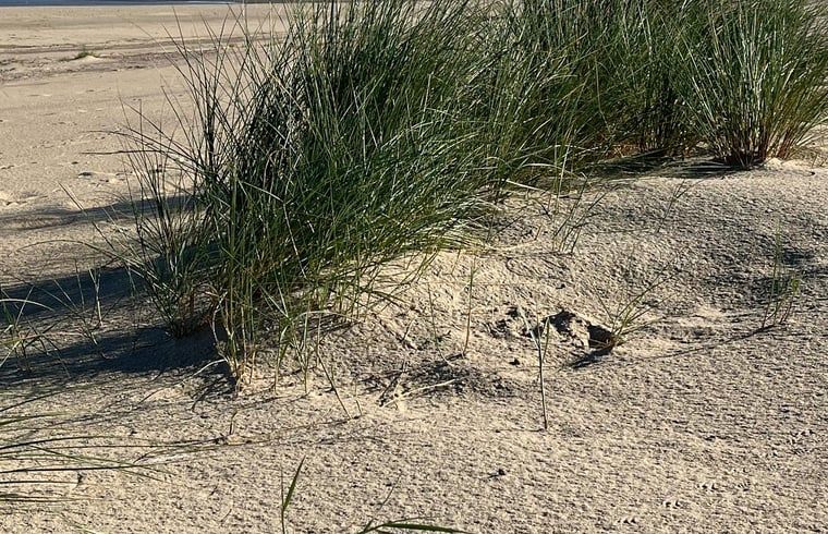 Verblijf 6601205 - Vakantiewoning Goeree-Overflakkee - Vakantiehuisje in Ouddorp aan zee