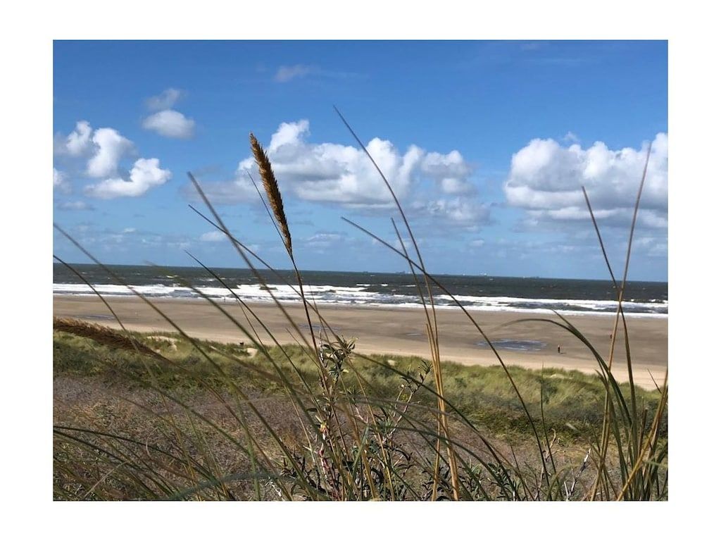 Verblijf 6601255 - Vakantiewoning Goeree-Overflakkee - 245445